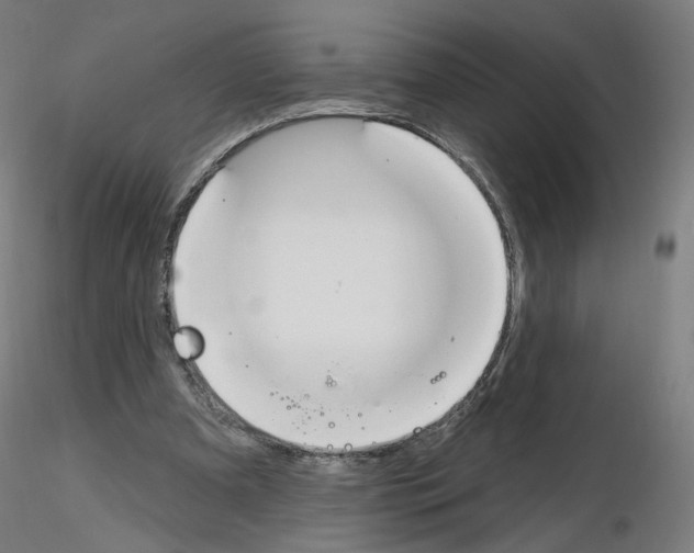 X0000115610297200912221213