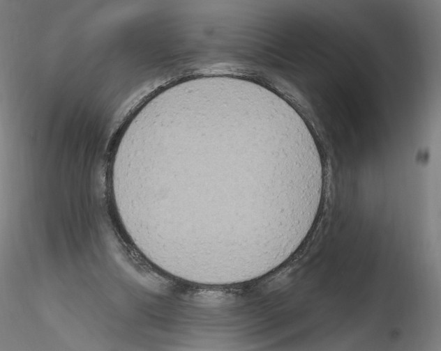 X0000115610298200912221213