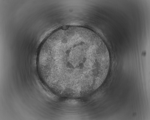 X0000115610299200912221213