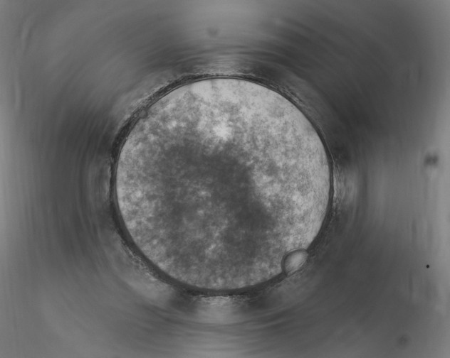 X0000115610301200912221213