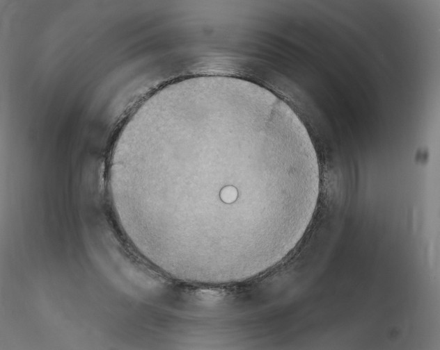 X0000115610302200912221213
