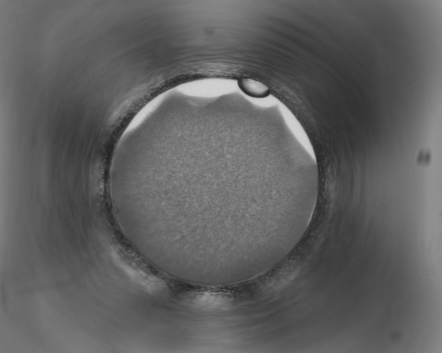 X0000115610303200912221213