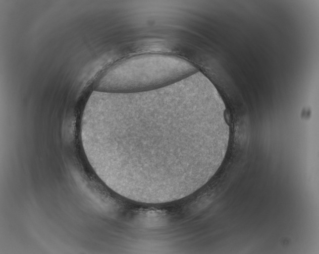 X0000115610304200912221213
