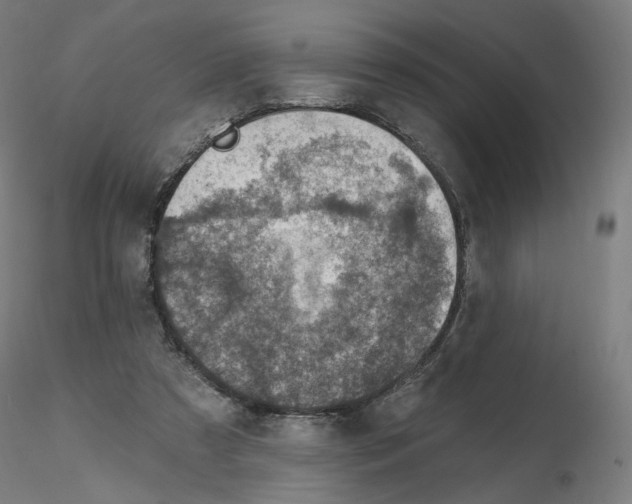 X0000115610305200912221213