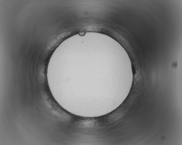X0000115610306200912221213