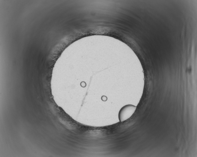 X0000115610307200912221213