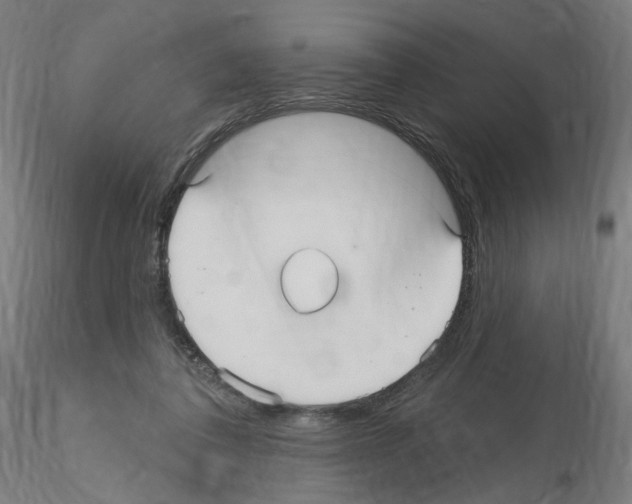X0000115610308200912221213