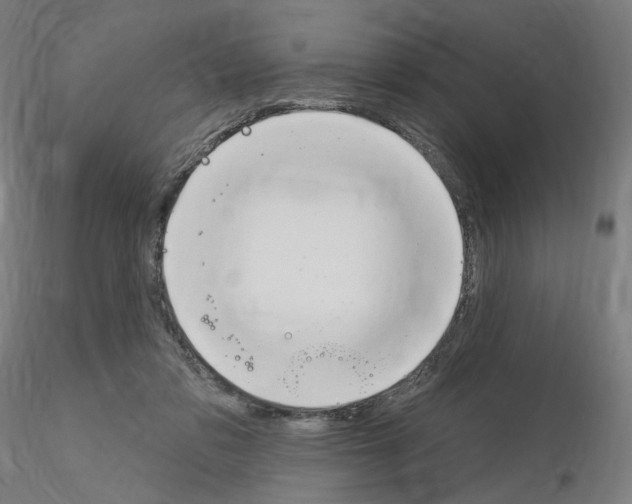 X0000115610309200912221213