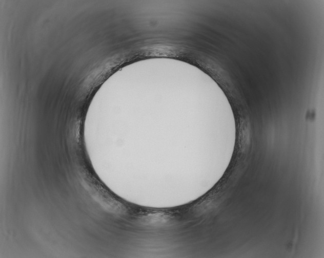 X0000115610310200912221213