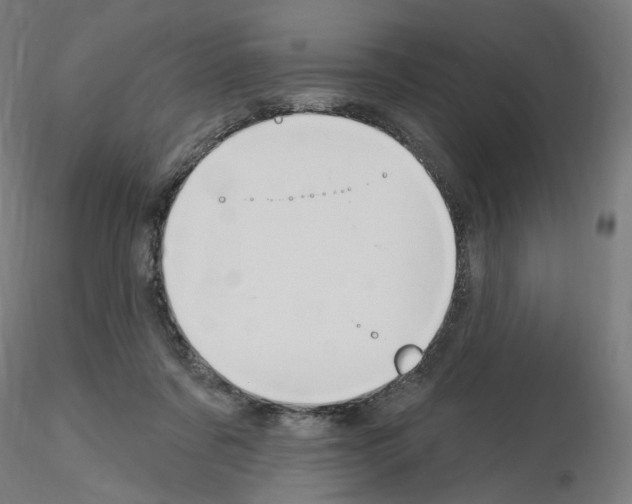 X0000115610311200912221213