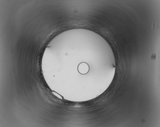X0000115610312200912221213