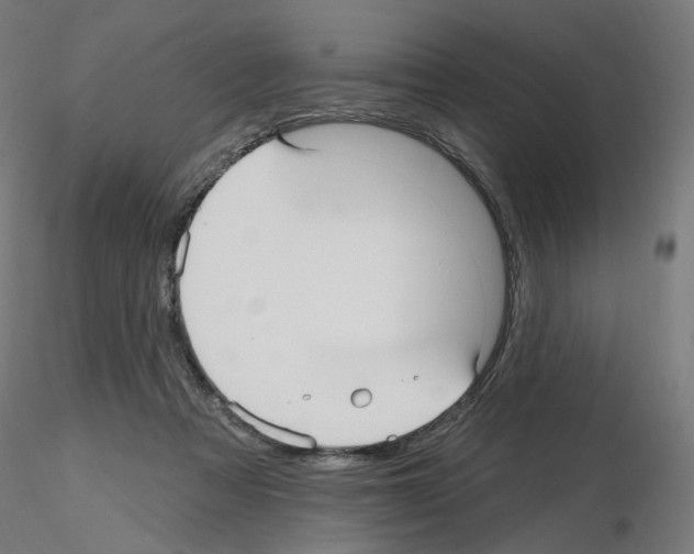 X0000115610313200912221213