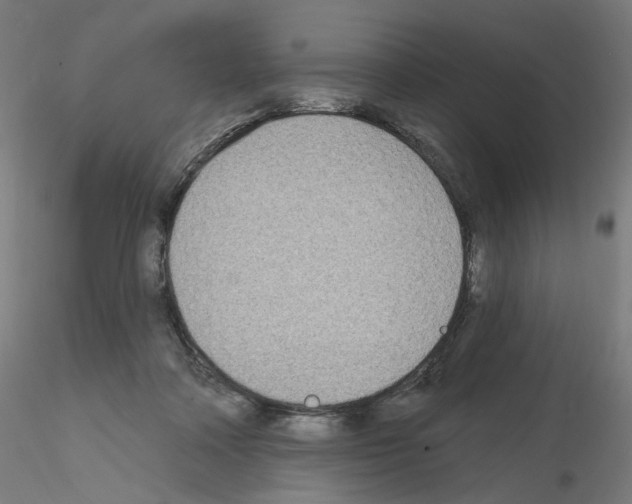 X0000115610314200912221212