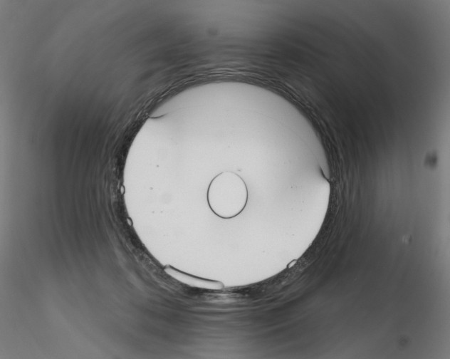 X0000115610316200912221212