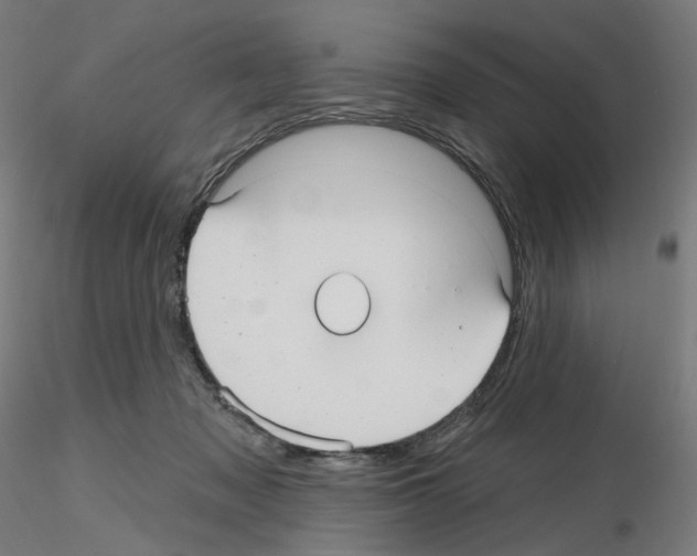 X0000115610317200912221212