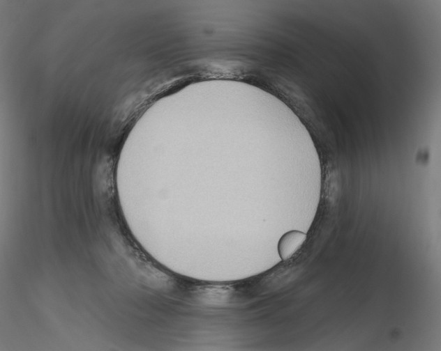 X0000115610318200912221212