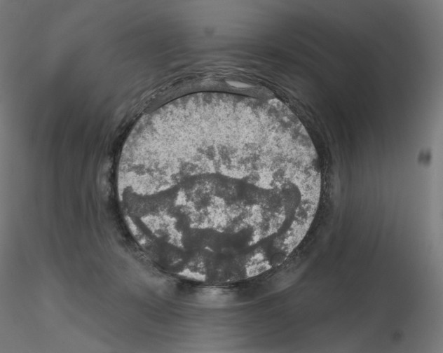 X0000115610319200912221212