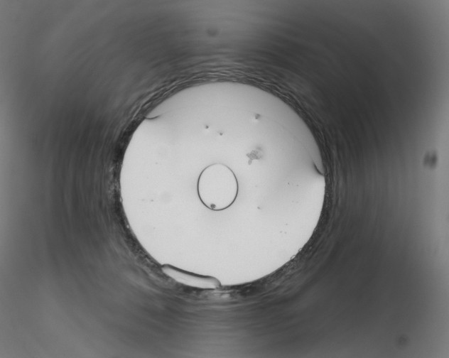 X0000115610320200912221212