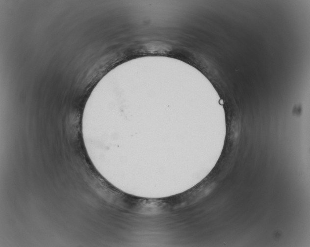 X0000115610321200912221212