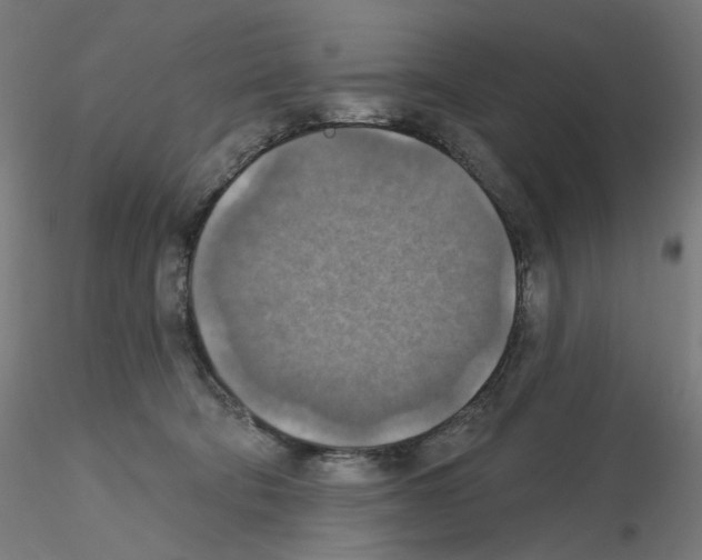 X0000115610322200912221212