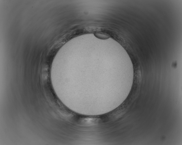 X0000115610323200912221212