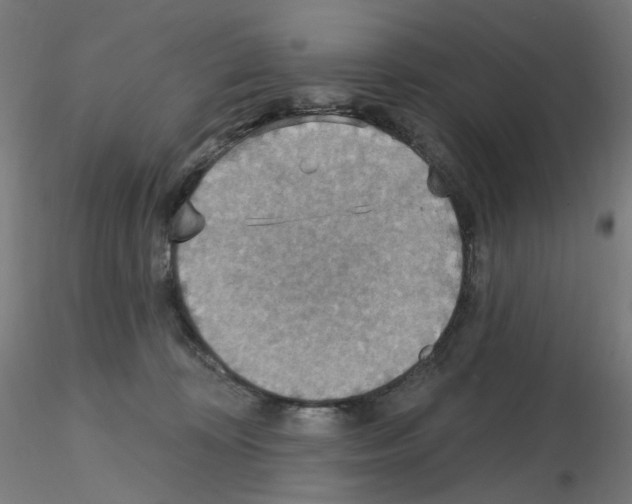 X0000115610324200912221212