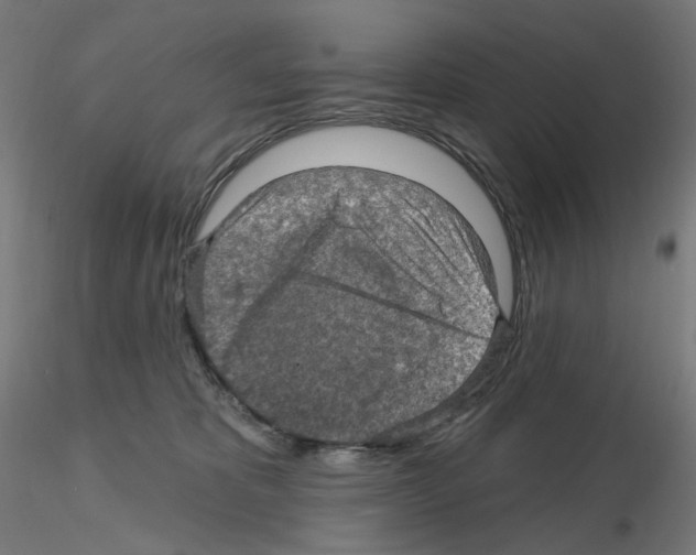 X0000115610325200912221212