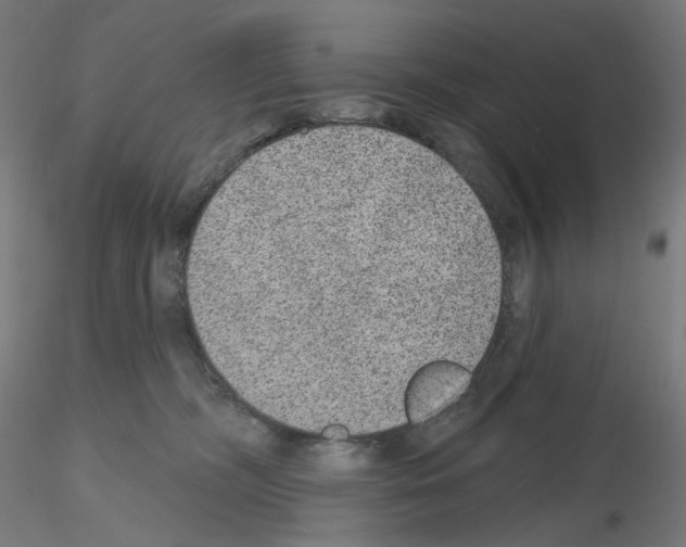 X0000115610326200912221212