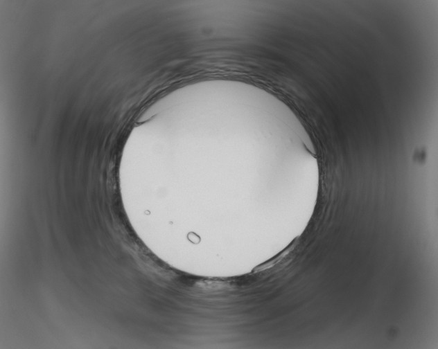 X0000115610327200912221212