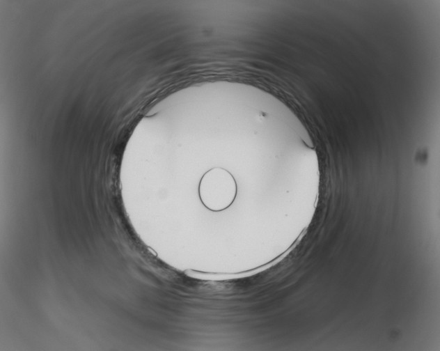 X0000115610328200912221212