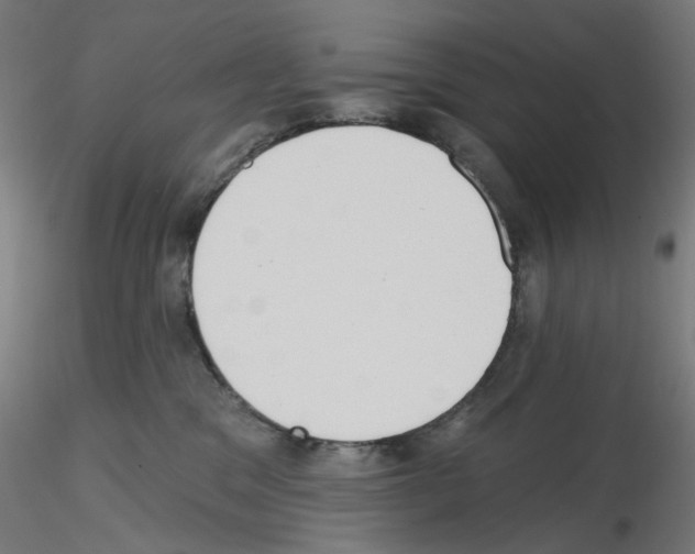 X0000115610329200912221212
