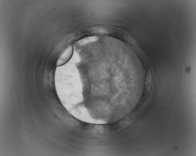 X0000115610330200912221212