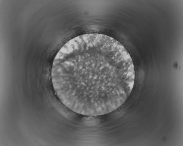 X0000115610331200912221212