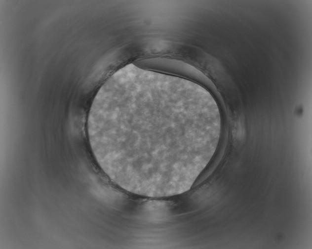 X0000115610332200912221212