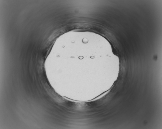 X0000115610333200912221212