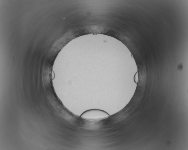 X0000115610334200912221212