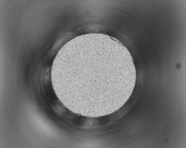 X0000115610335200912221212