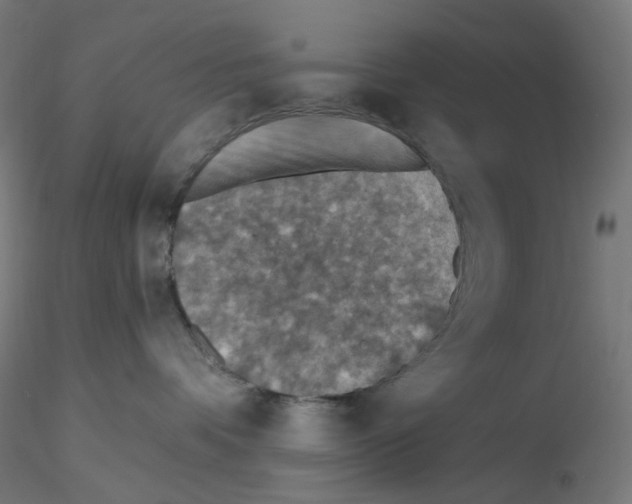 X0000115610336200912221212