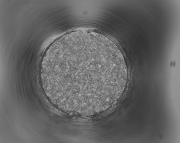 X0000115610337200912221212