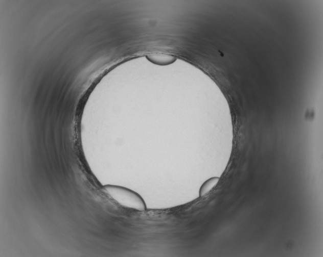 X0000115610338200912221212