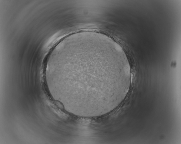 X0000115610339200912221212