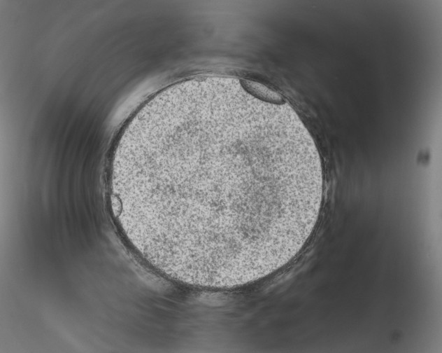X0000115610341200912221212