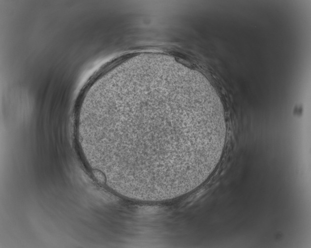 X0000115610342200912221212