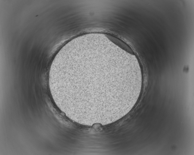 X0000115610345200912221212