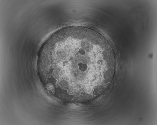 X0000115610346200912221212