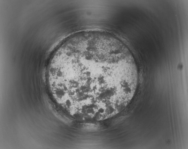 X0000115610347200912221212