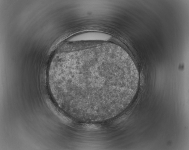 X0000115610349200912221212