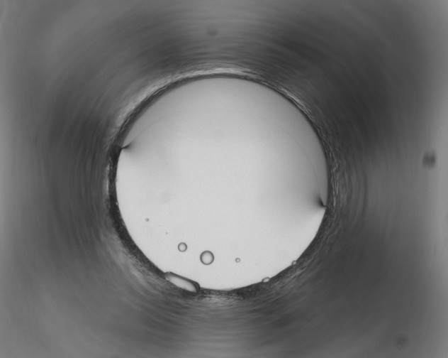 X0000115610350200912221212