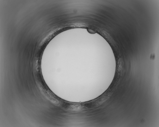 X0000115610351200912221212