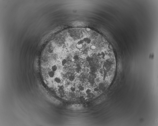 X0000115610353200912221212